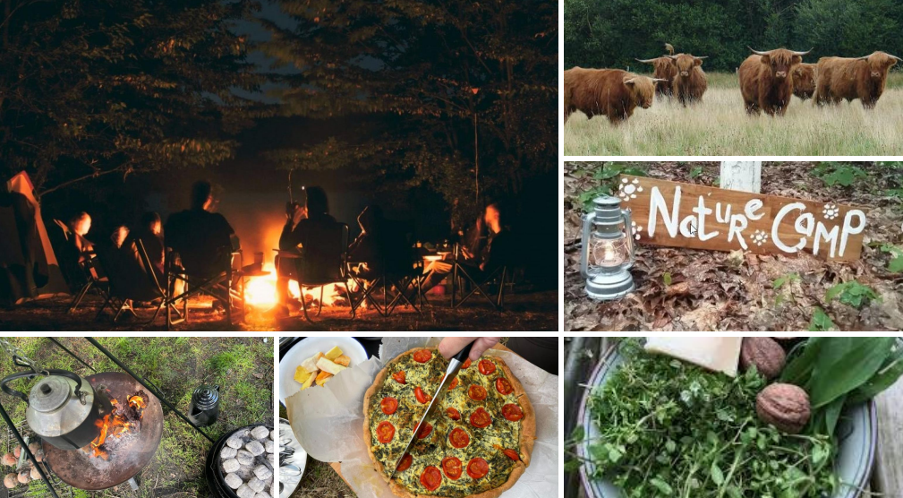 Groene campings in Nederland: nature camps