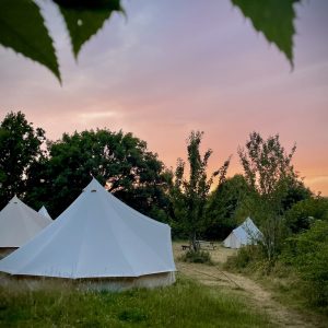 bell-tents-sunset
